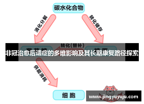 非冠治愈后遗症的多维影响及其长期康复路径探索